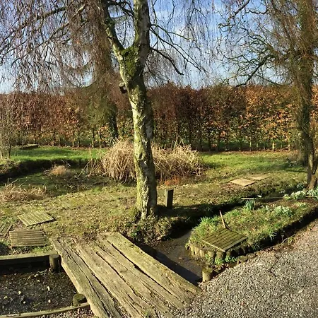 La Maison Du Ruisseau Assesse